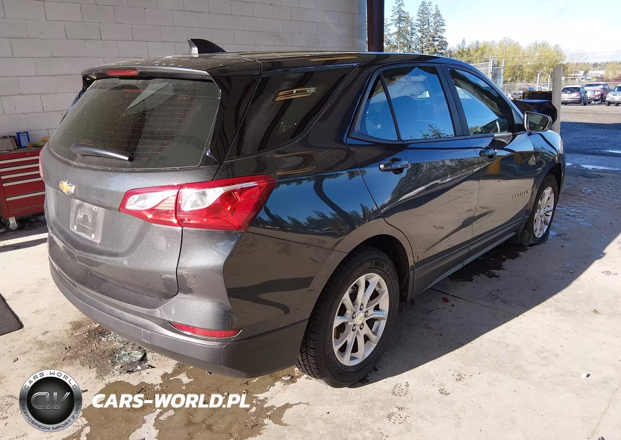 2020 Chevrolet Equinox Fwd Ls VIN:2GNAXHEV3L6135138 - 4