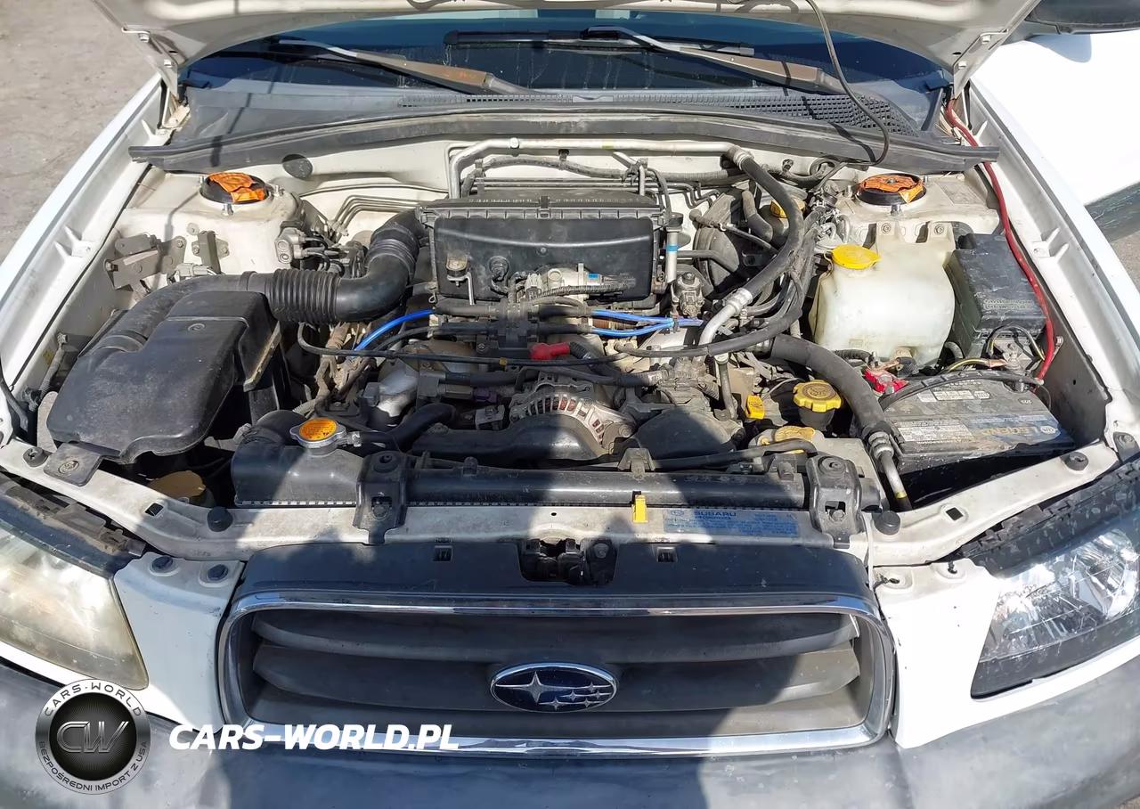 2004 Subaru Forester 2.5X VIN:JF1SG636X4H707496 - 10