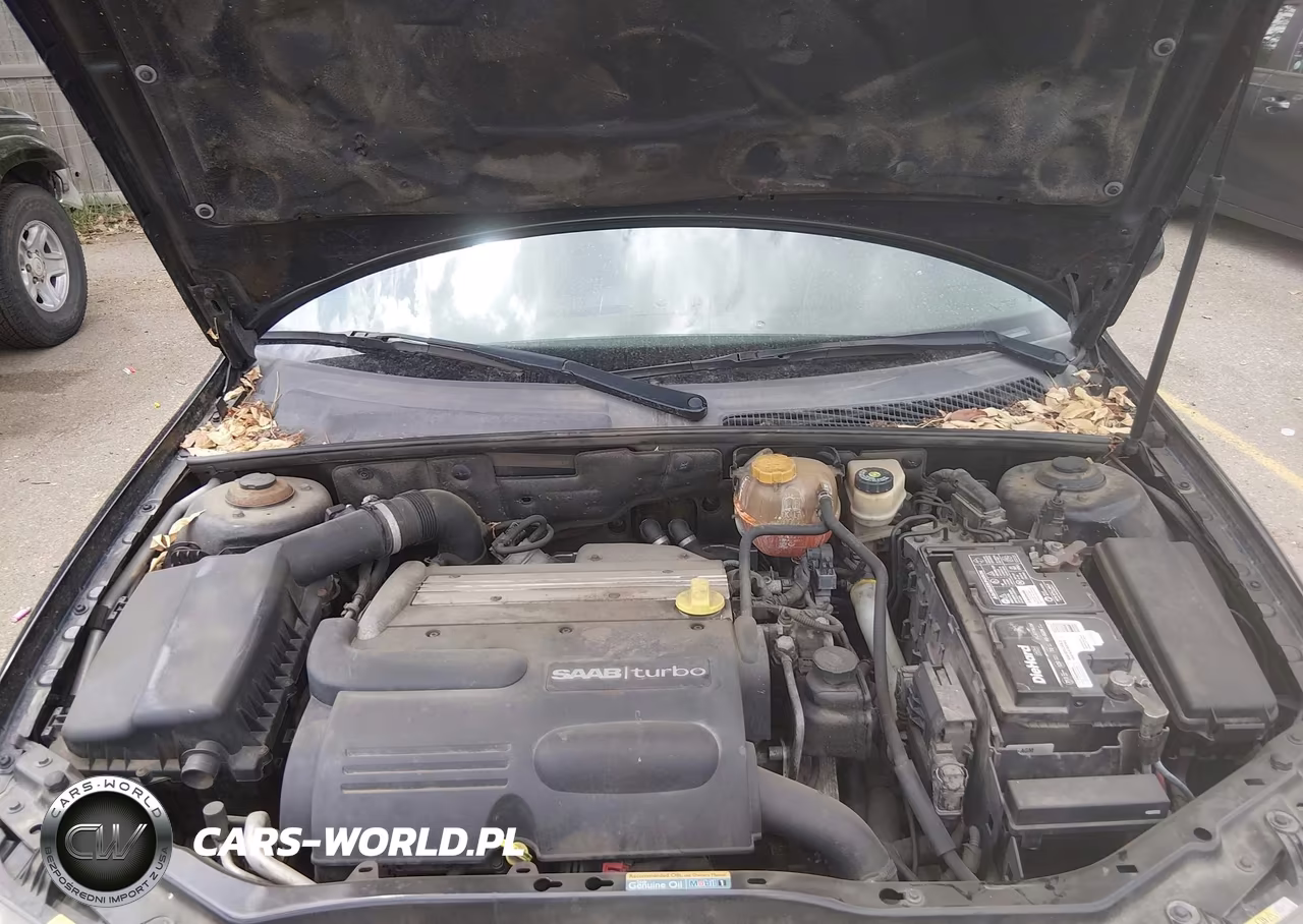 2006 Saab 9-3 2.0T VIN:YS3FD49Y661108973 - 10
