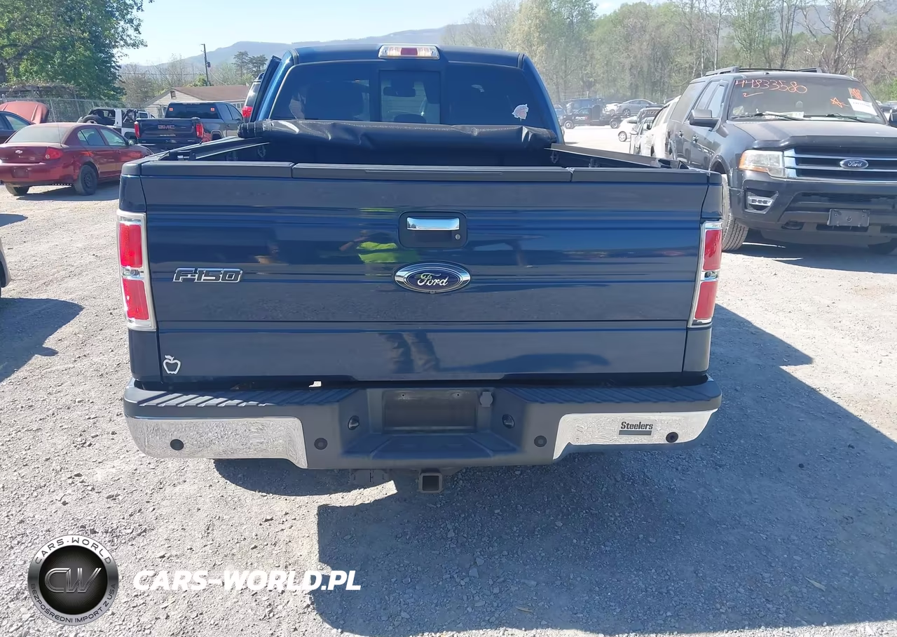 2014 Ford F-150 Xlt VIN:1FTFX1ET2EFA54922 - 17