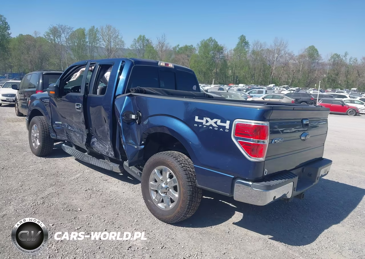 2014 Ford F-150 Xlt VIN:1FTFX1ET2EFA54922 - 3