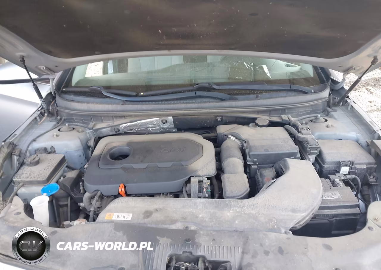 2015 Hyundai Sonata Se VIN:5NPE24AF5FH060233 - 10