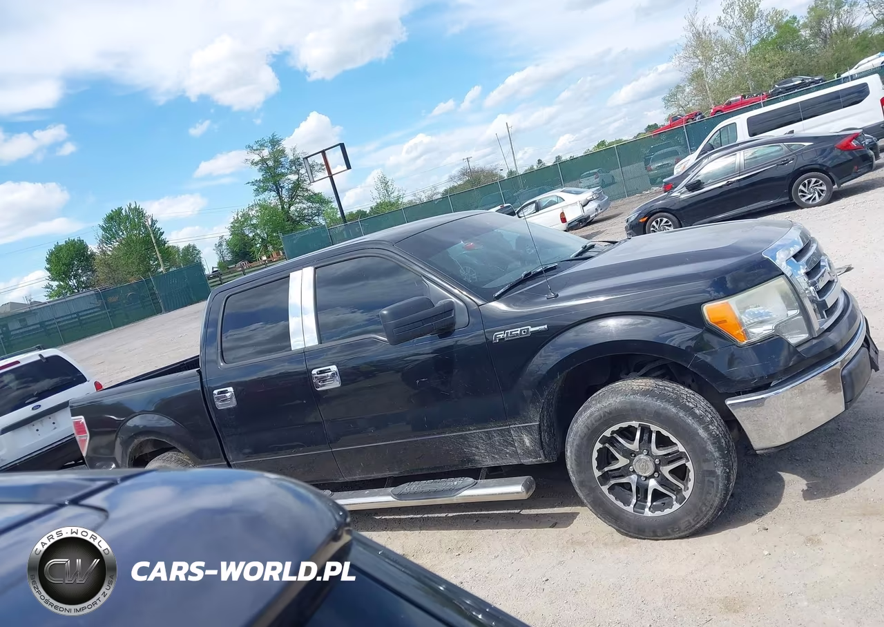 2010 Ford F-150 Fx2 Sport-Xl-Xlt VIN:1FTEW1C87AFB27242 - 13