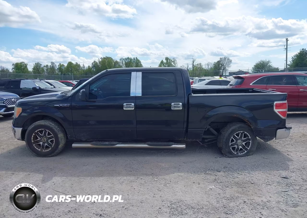2010 Ford F-150 Fx2 Sport-Xl-Xlt VIN:1FTEW1C87AFB27242 - 14