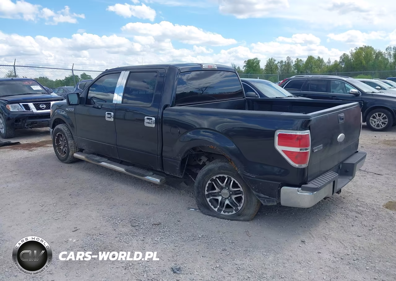 2010 Ford F-150 Fx2 Sport-Xl-Xlt VIN:1FTEW1C87AFB27242 - 3
