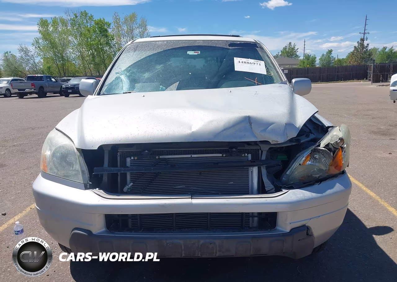 2004 Honda Pilot Ex VIN:2HKYF18414H512180 - 13