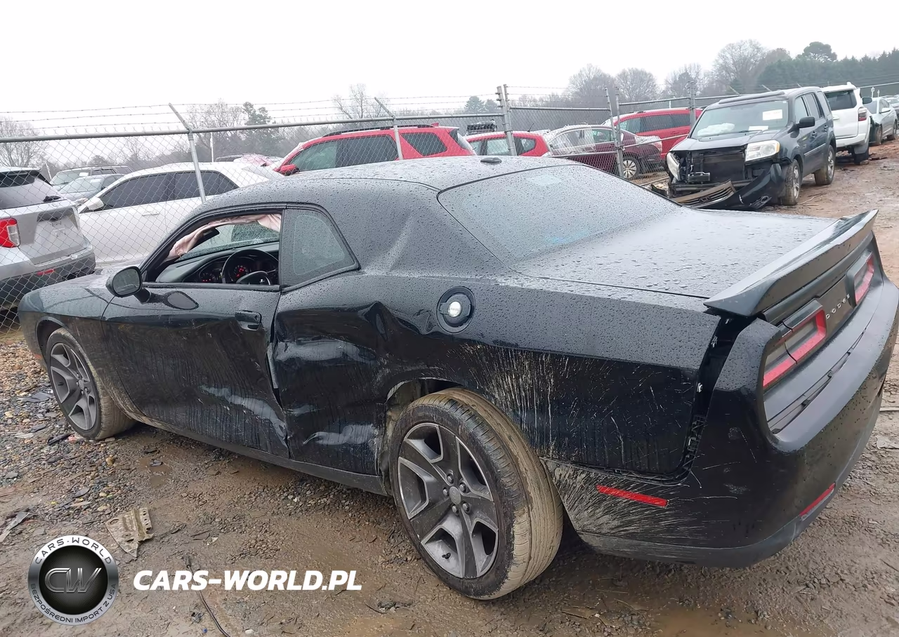 2017 Dodge Challenger Sxt VIN:2C3CDZAG0HH584817 - 14