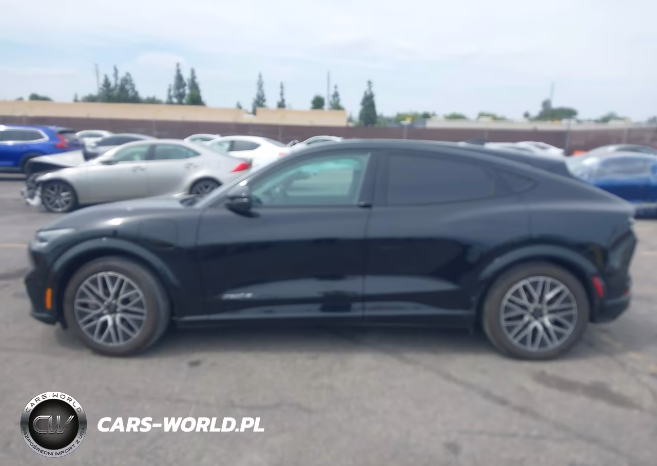 2021 Ford Mustang Mach-E California Route 1 VIN:3FMTK2R7XMMA43309 - 15