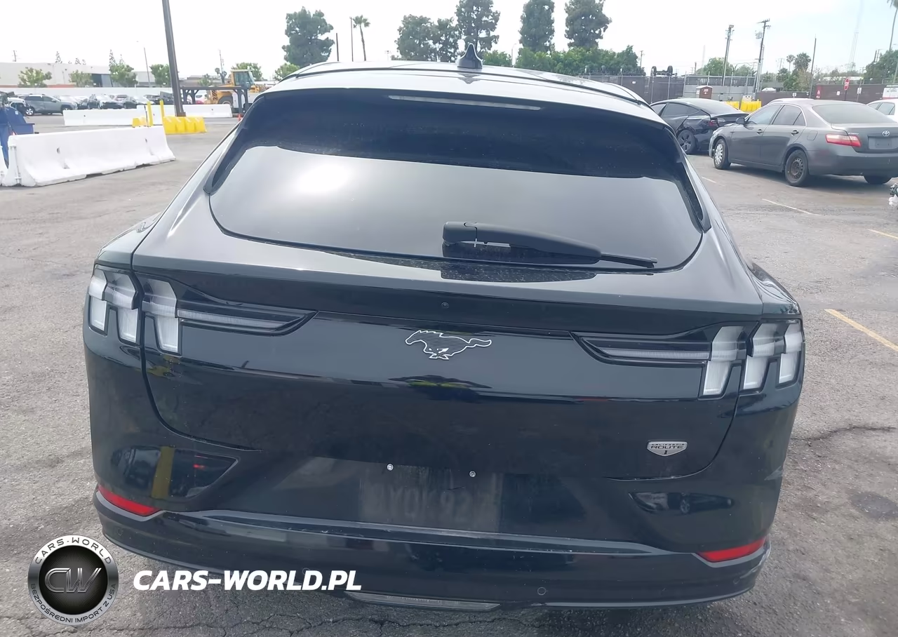 2021 Ford Mustang Mach-E California Route 1 VIN:3FMTK2R7XMMA43309 - 17