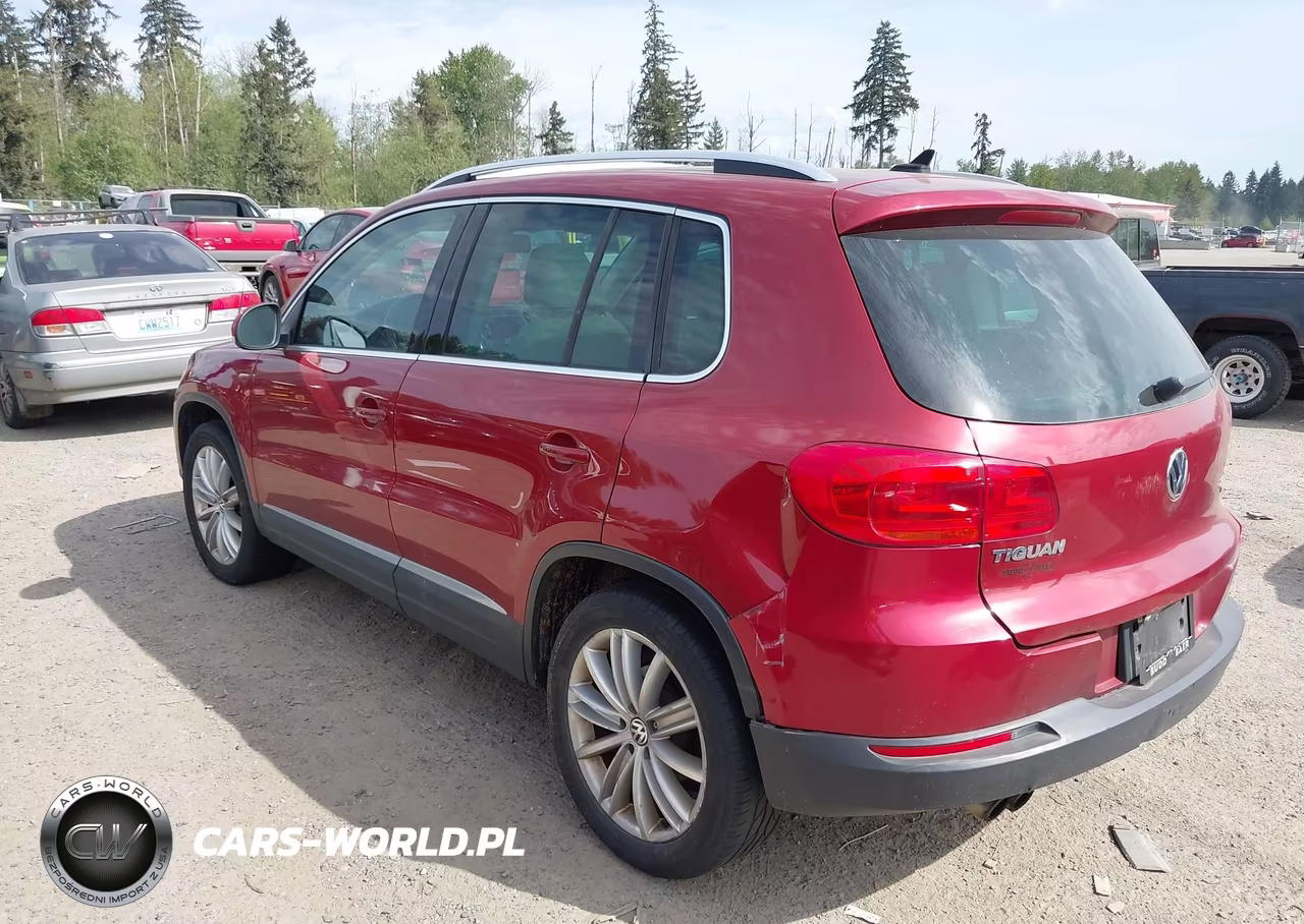 2013 Volkswagen Tiguan S-Se-Sel VIN:WVGBV7AX7DW007878 - 3
