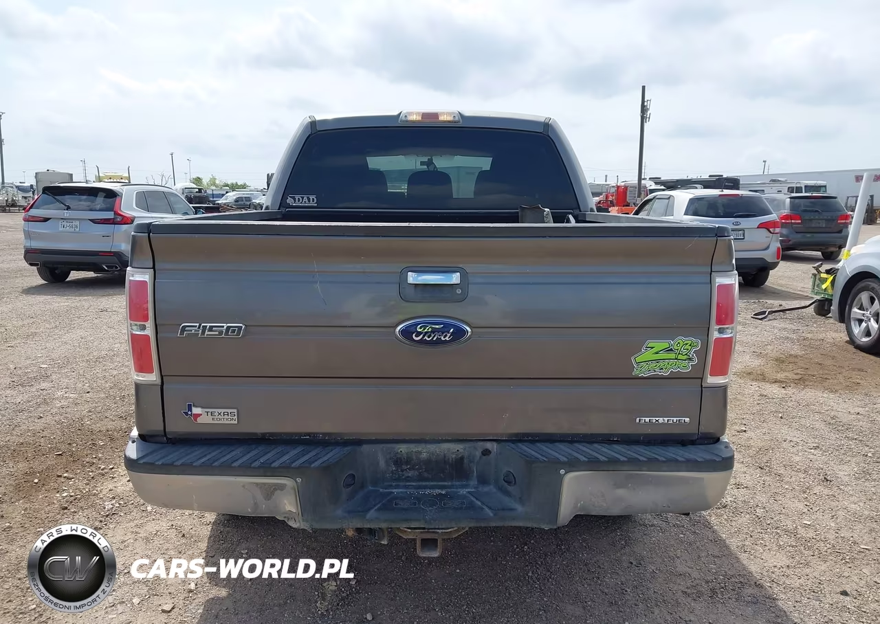 2011 Ford F-150 Xlt VIN:1FTFW1CF9BFA39734 - 17