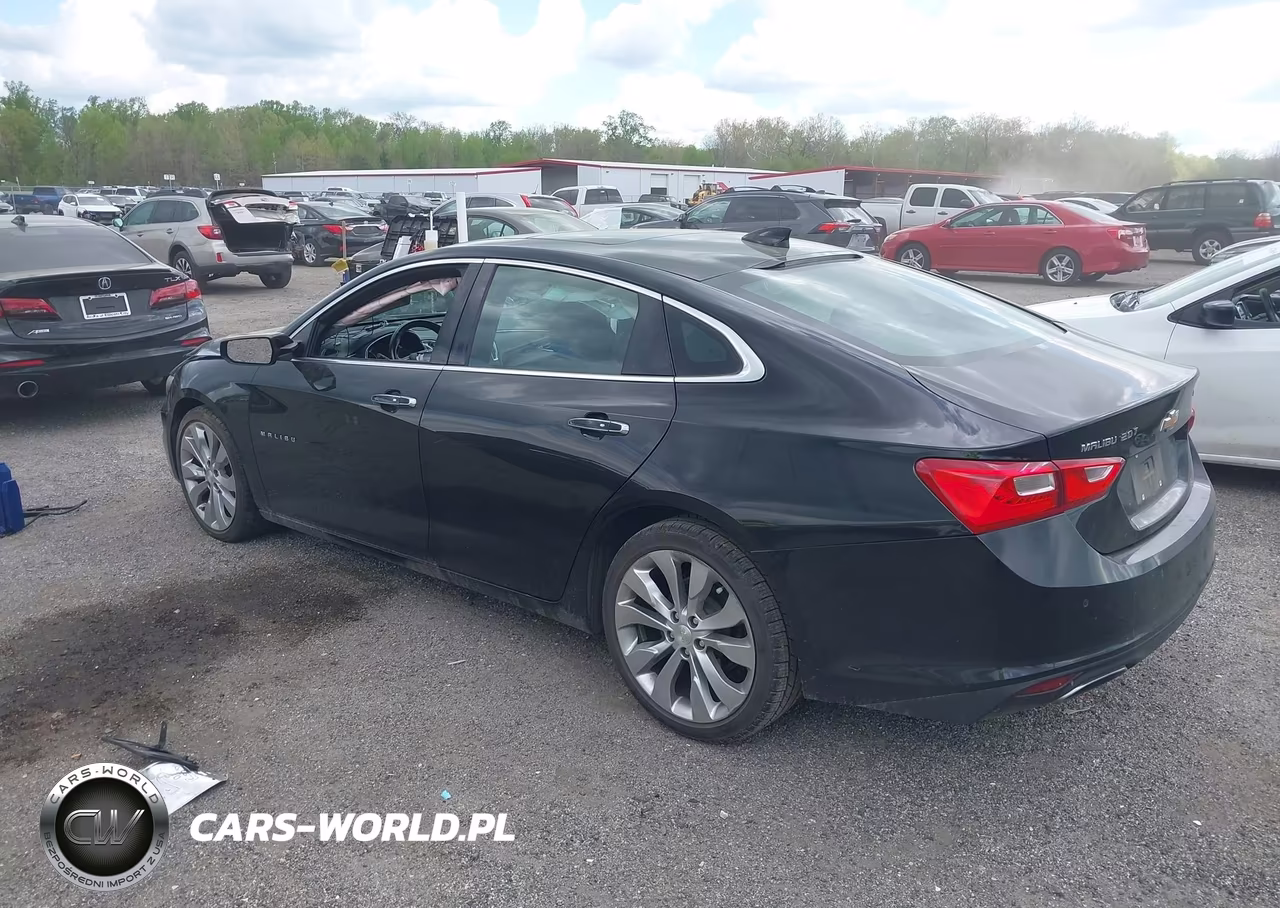 2017 Chevrolet Malibu Premier VIN:1G1ZH5SX8HF264446 - 3
