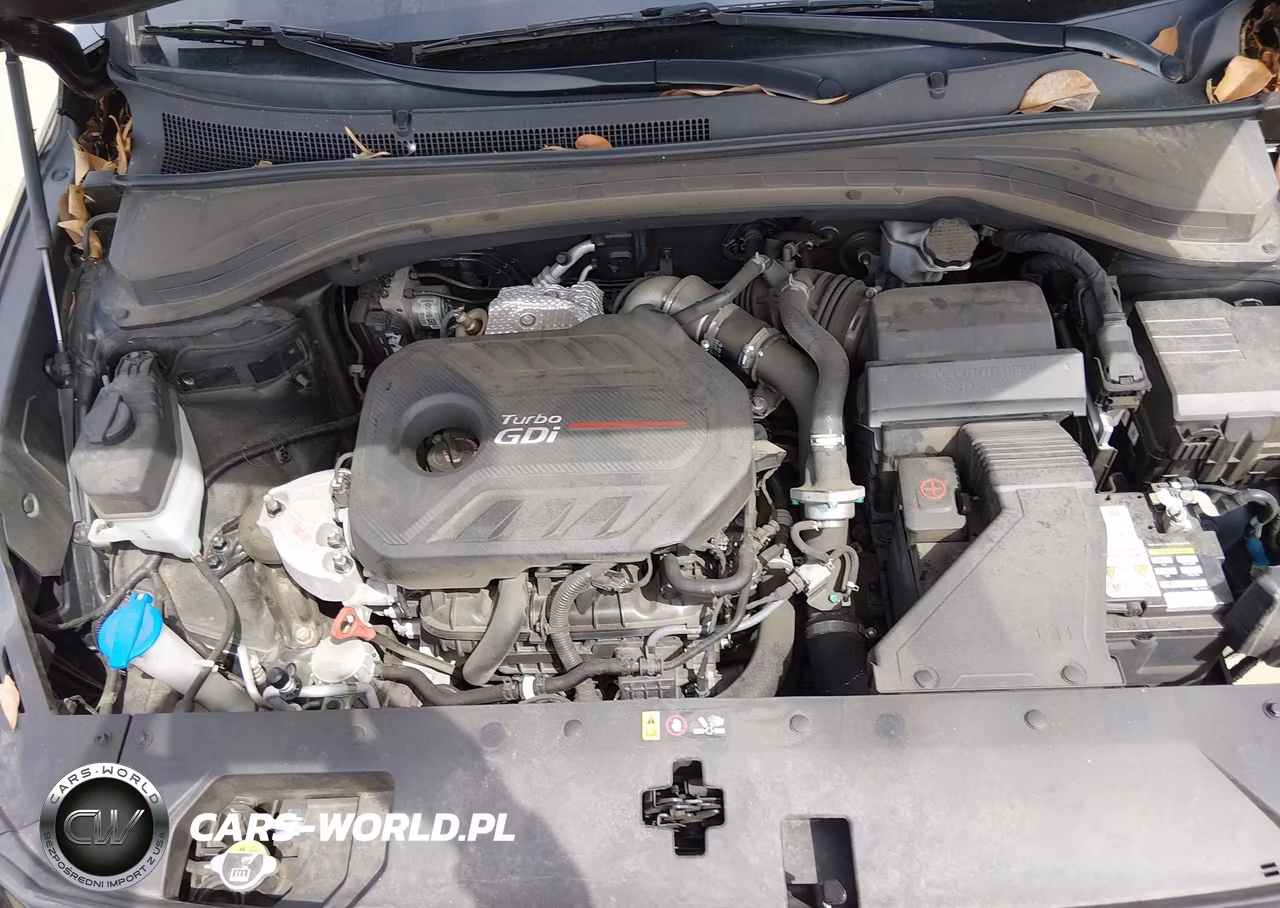 2019 Hyundai Santa Fe Ultimate 2.0T VIN:5NMS5CAA0KH026961 - 10