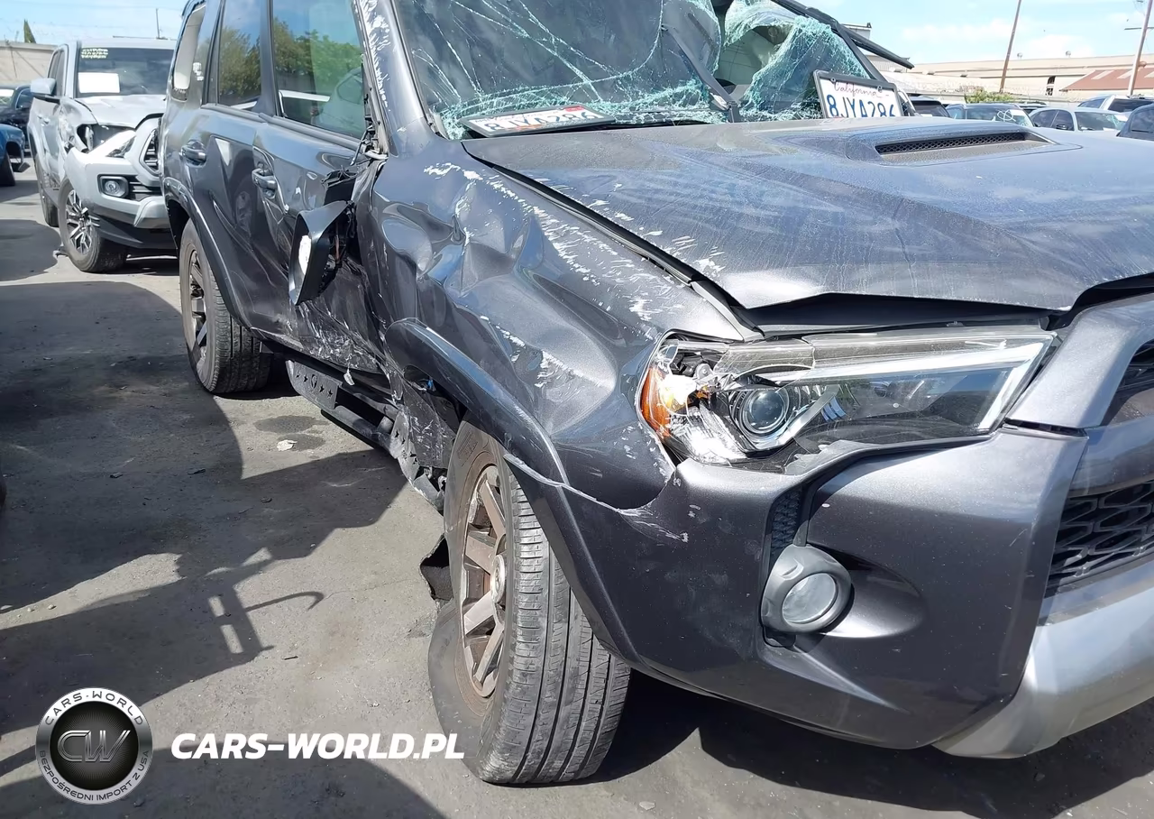 2019 Toyota 4Runner Trd Off Road Premium VIN:JTEBU5JR8K5680741 - 6