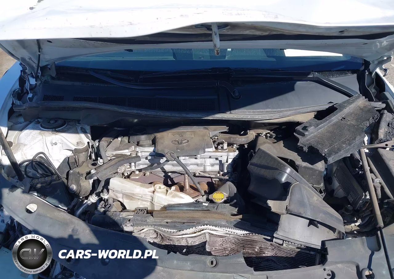 2013 Toyota Camry Se VIN:4T1BF1FK5DU638888 - 10