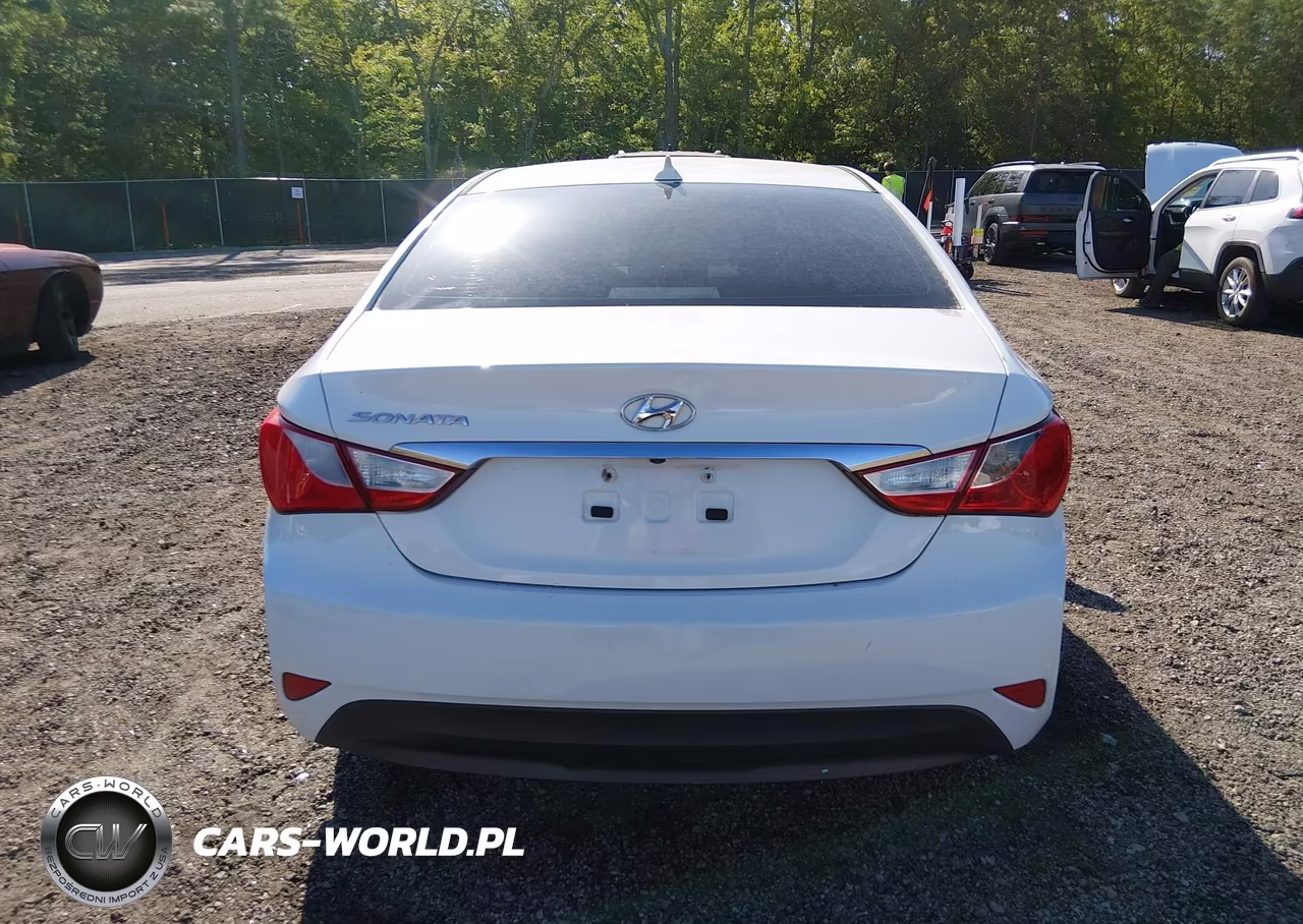 2014 Hyundai Sonata Gls VIN:5NPEB4AC1EH822963 - 17