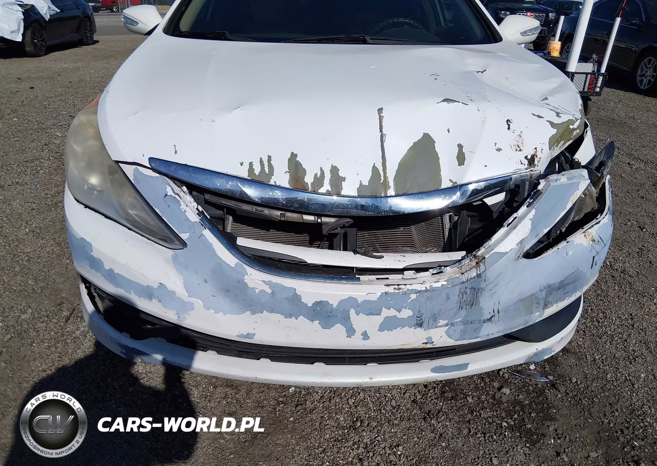 2014 Hyundai Sonata Gls VIN:5NPEB4AC1EH822963 - 6