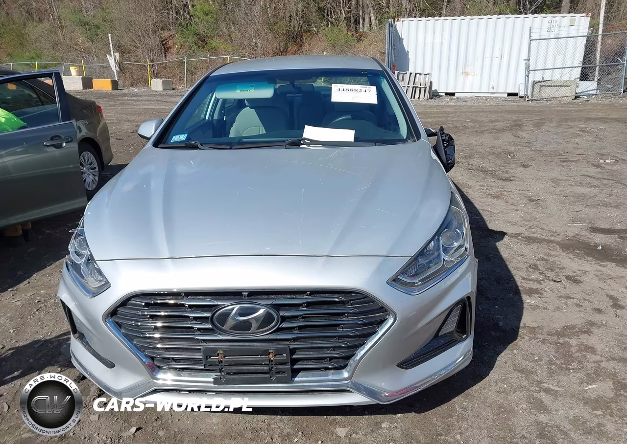 2019 Hyundai Sonata Se VIN:5NPE24AF0KH743693 - 12