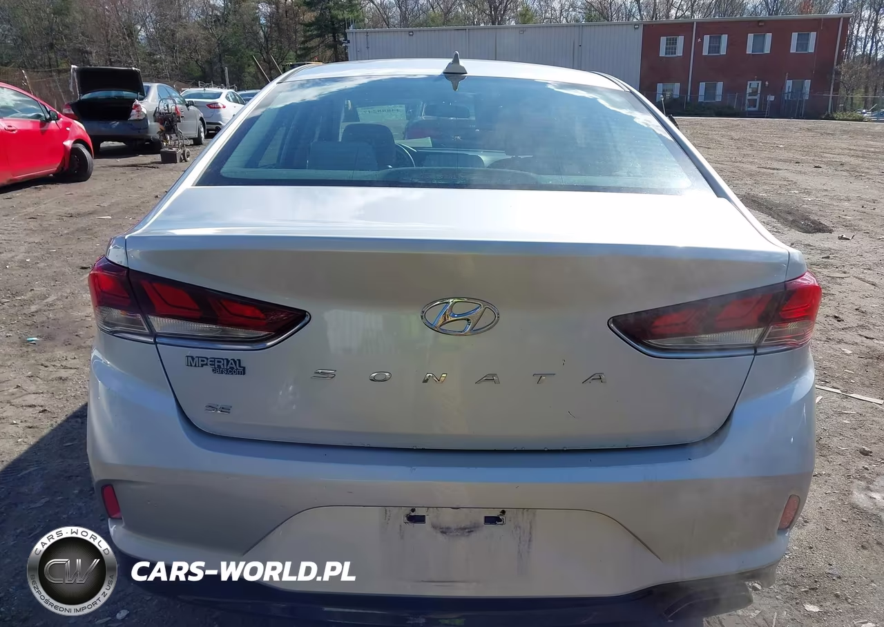 2019 Hyundai Sonata Se VIN:5NPE24AF0KH743693 - 16