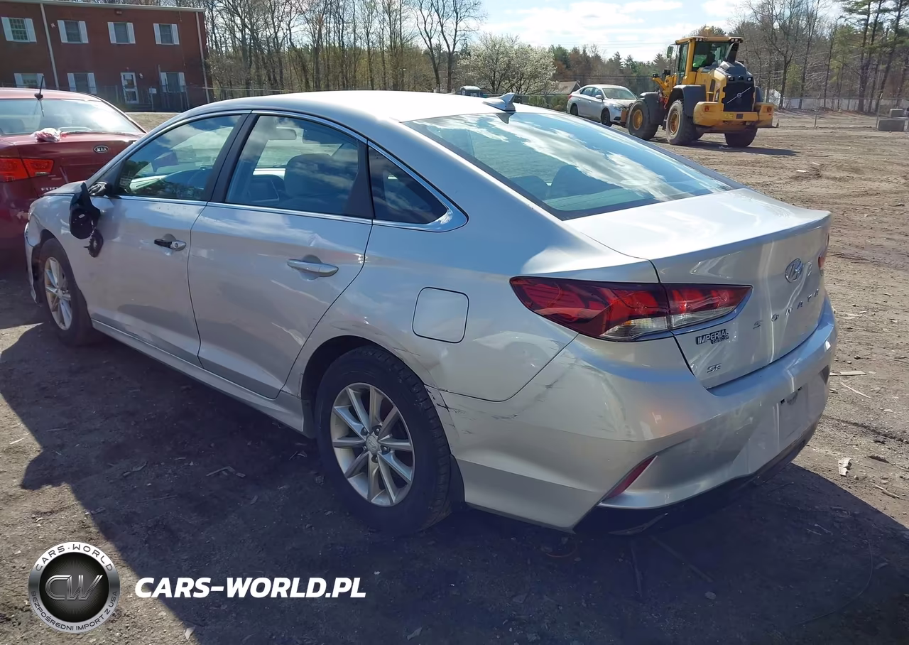 2019 Hyundai Sonata Se VIN:5NPE24AF0KH743693 - 3