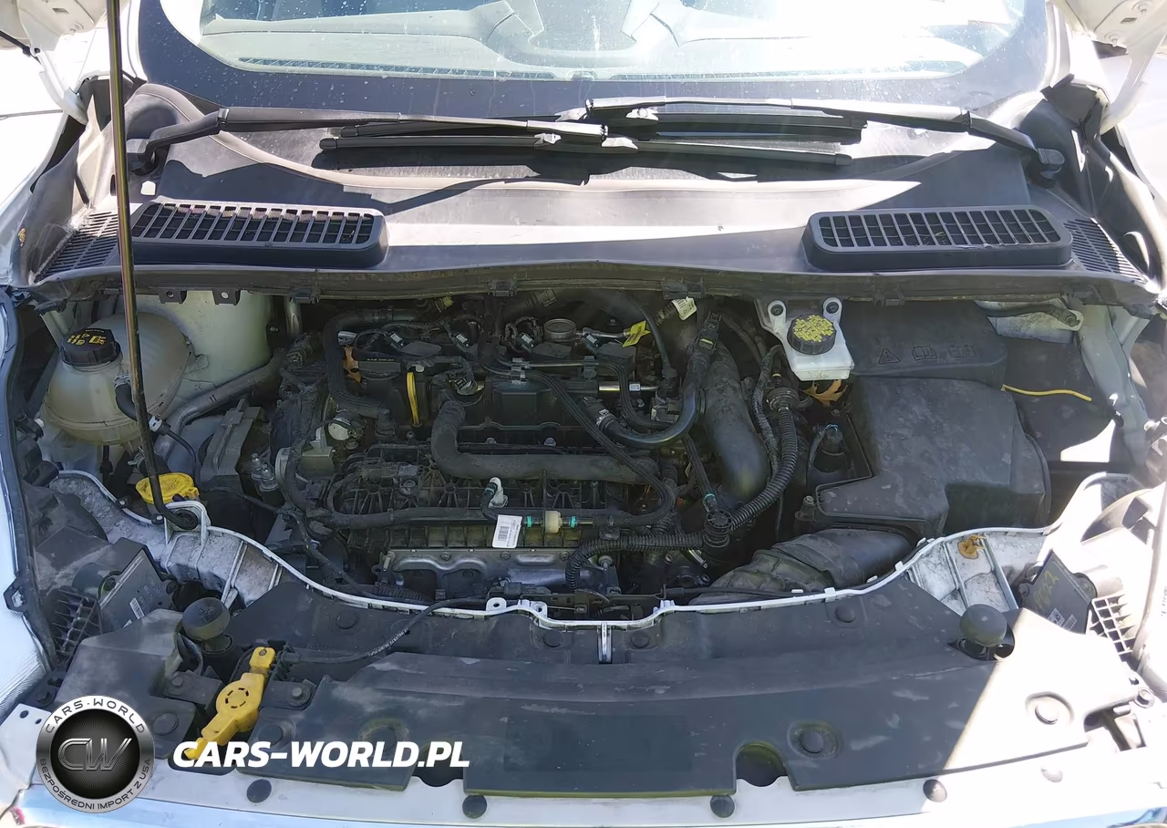 2019 Ford Escape Sel VIN:1FMCU0HD1KUA41396 - 10