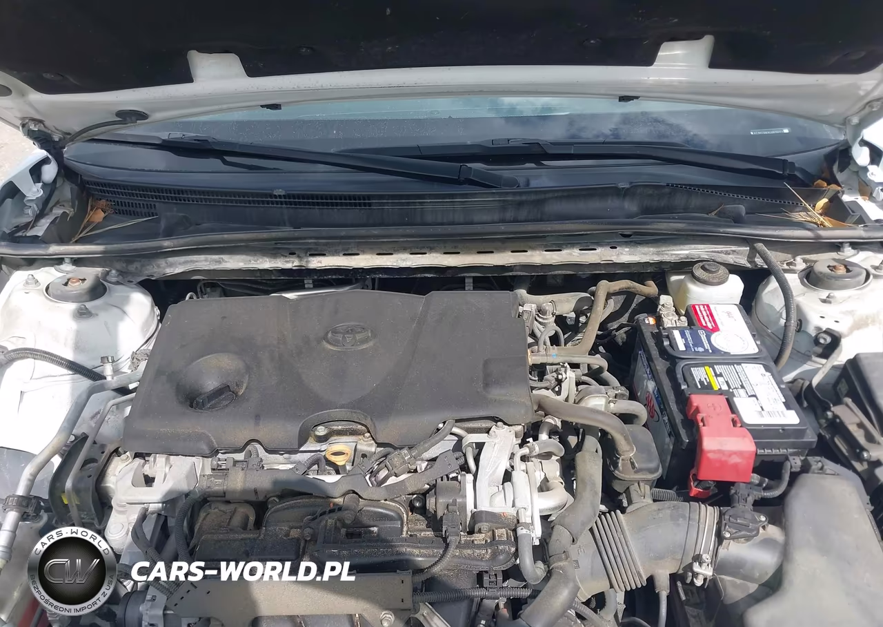 2020 Toyota Camry Se VIN:4T1M11AK4LU919271 - 10
