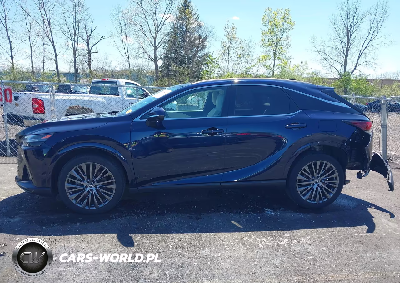 2023 Lexus Rx 350 Luxury VIN:2T2BAMCA2PC026404 - 14