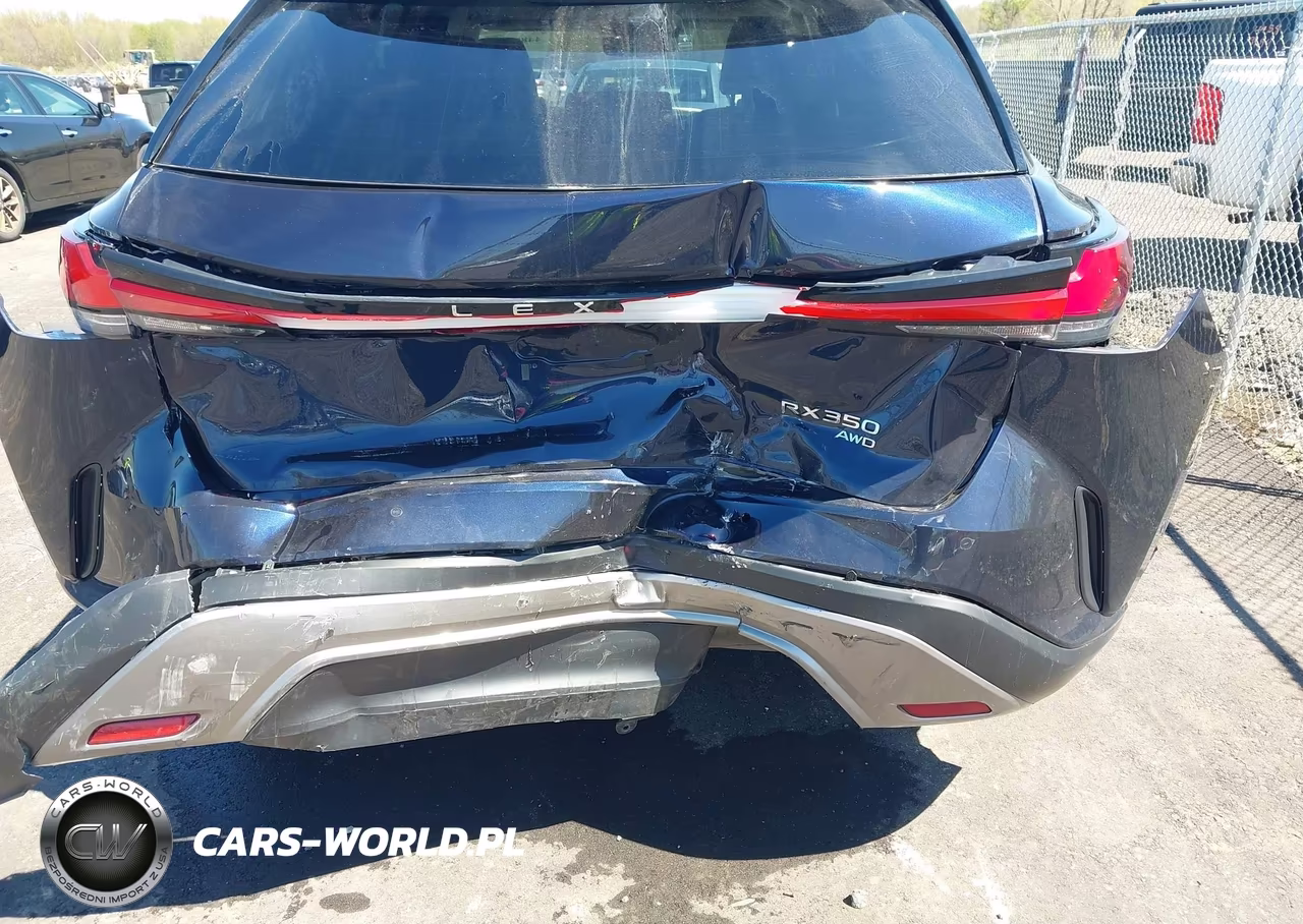 2023 Lexus Rx 350 Luxury VIN:2T2BAMCA2PC026404 - 6