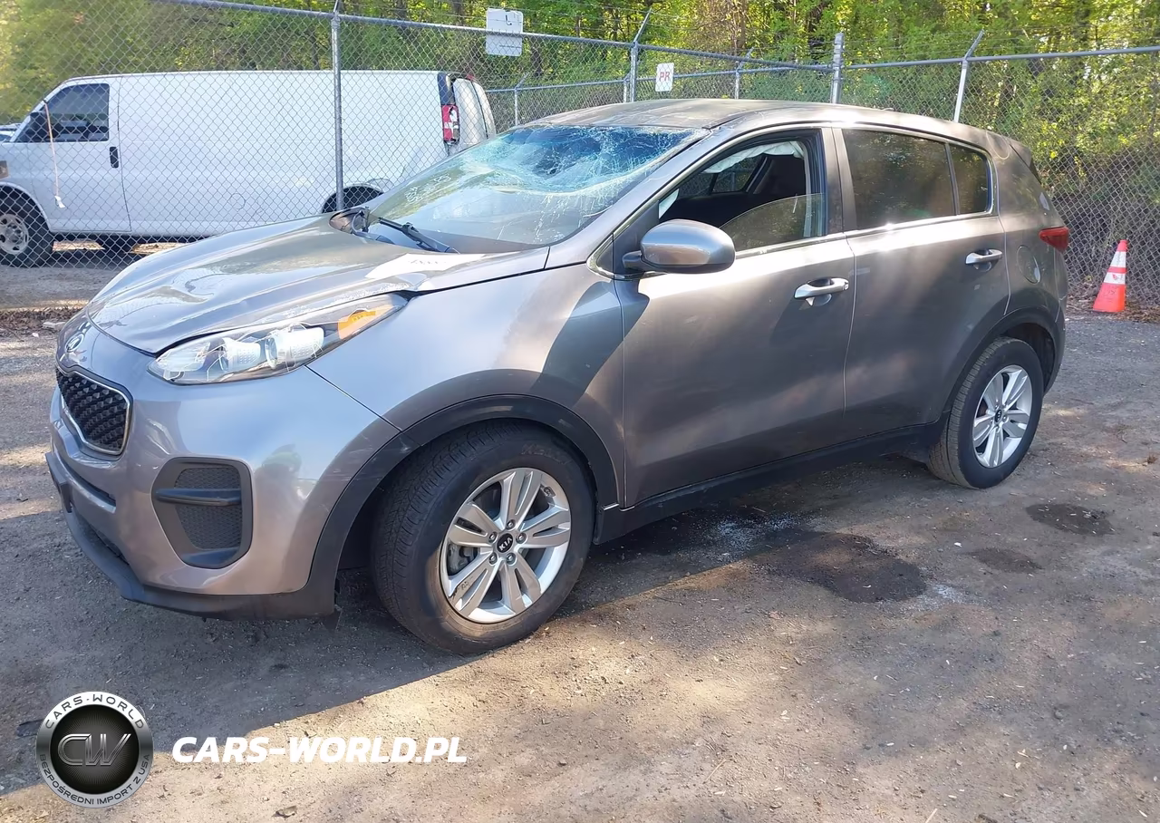 2019 Kia Sportage Lx VIN:KNDPM3AC6K7561732 - 2