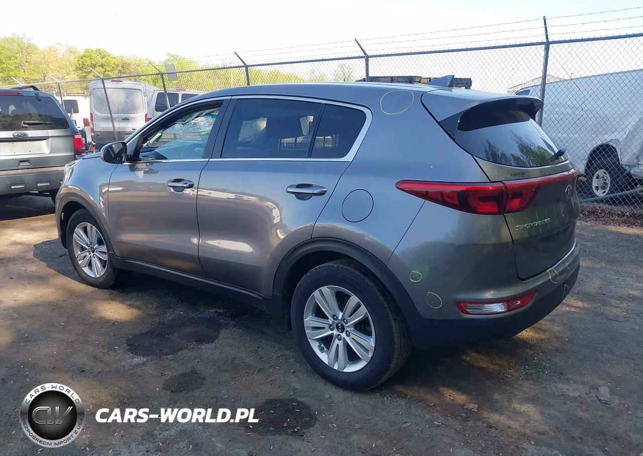 2019 Kia Sportage Lx VIN:KNDPM3AC6K7561732 - 3