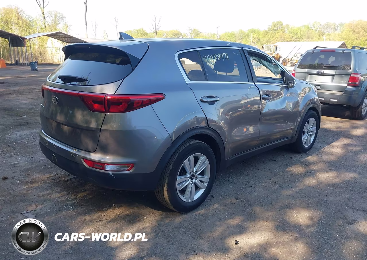 2019 Kia Sportage Lx VIN:KNDPM3AC6K7561732 - 4