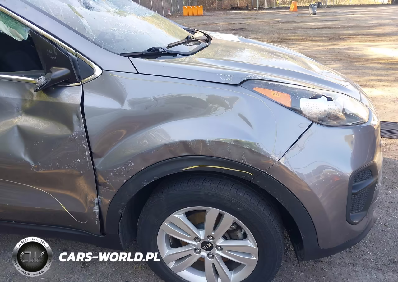 2019 Kia Sportage Lx VIN:KNDPM3AC6K7561732 - 6