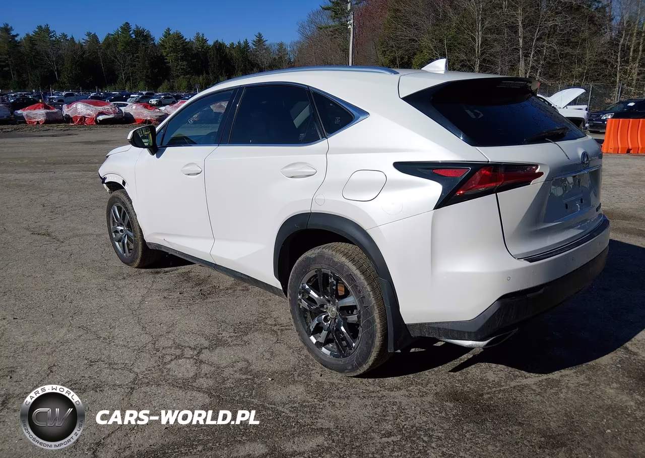2015 Lexus Nx 200T VIN:JTJBARBZ3F2011106 - 3