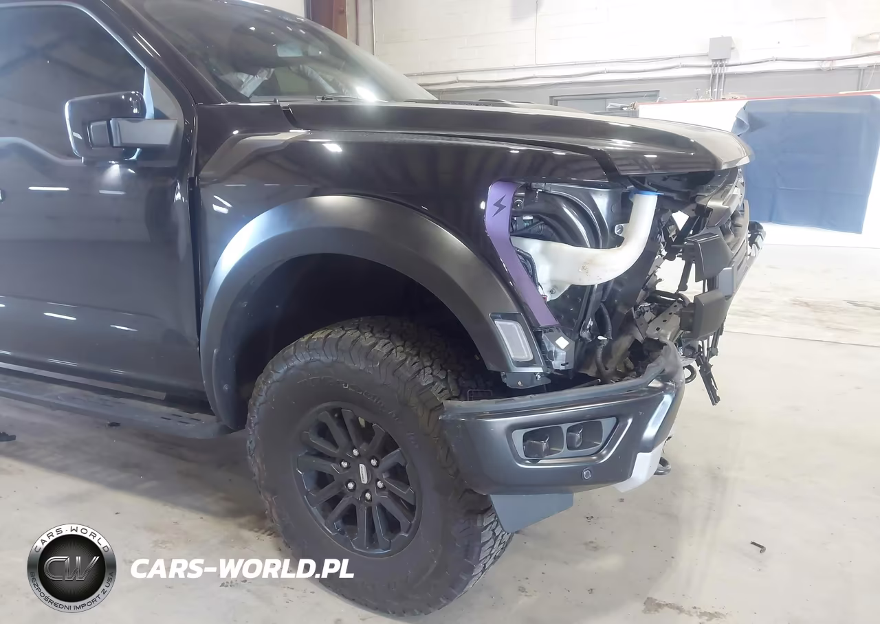 2024 Ford F-150 Raptor VIN:1FTFW1RG7RFA72421 - 17