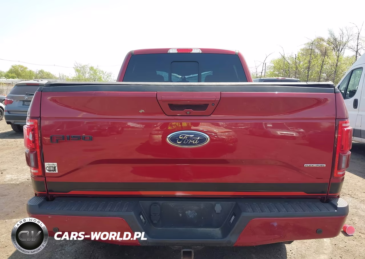 2016 Ford F150 Supercrew VIN:1FTEW1CF6GFC70545 - 16