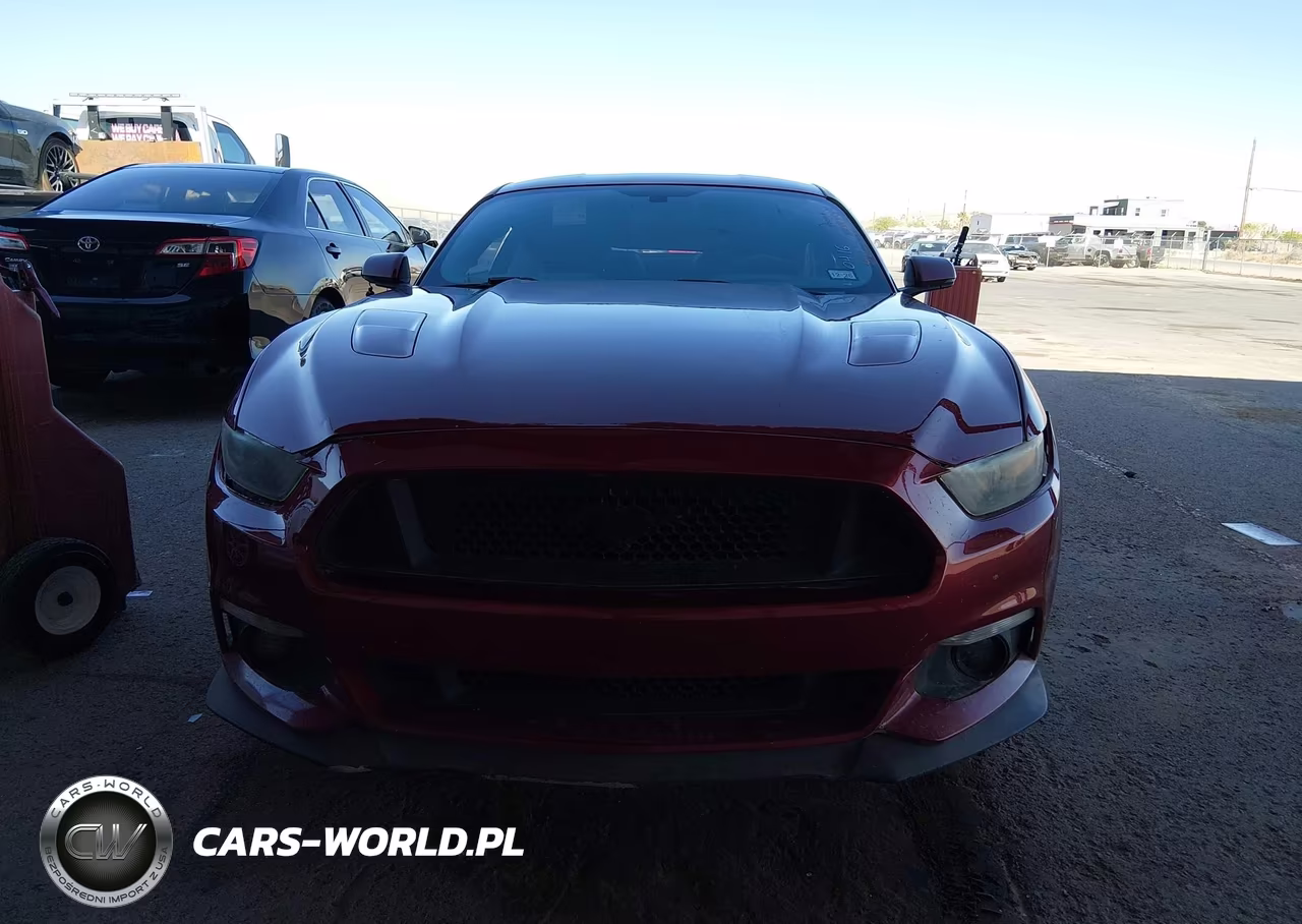 2016 Ford Mustang Gt Premium VIN:1FA6P8CF2G5201163 - 12