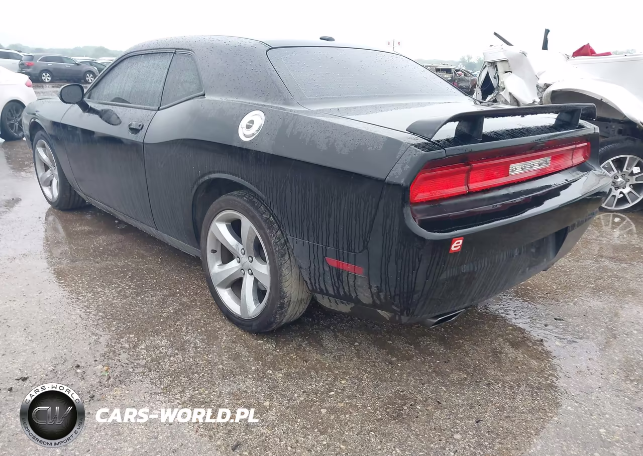 2013 Dodge Challenger R-T Plus VIN:2C3CDYBTXDH570066 - 3