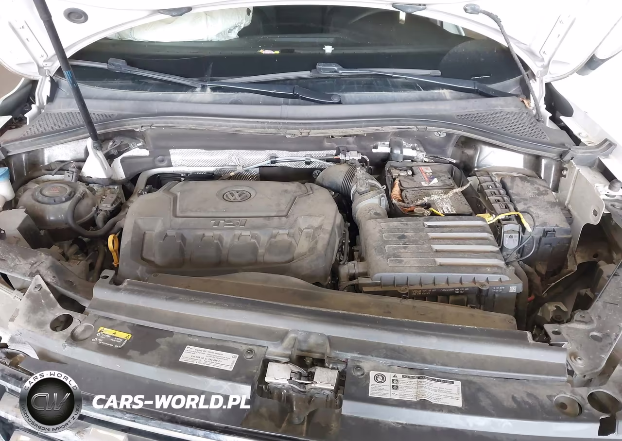 2019 Volkswagen Tiguan 2.0T S VIN:3VV1B7AX3KM029898 - 10