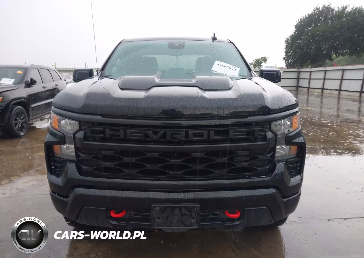 2025 Chevrolet Silverado 1500 4Wd Short Bed Custom Trail Boss VIN:3GCUKCED9SG120855 - 13