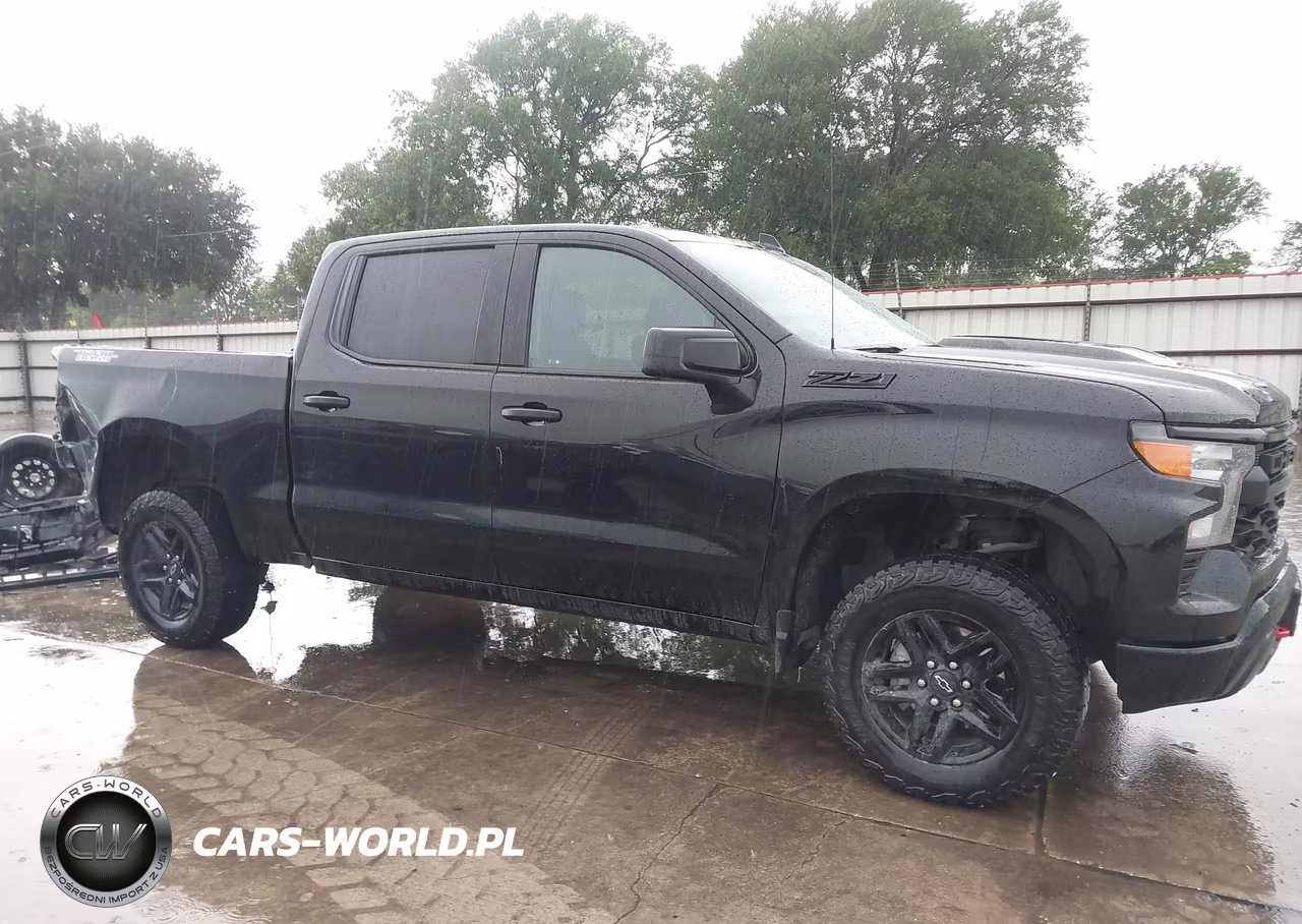 2025 Chevrolet Silverado 1500 4Wd Short Bed Custom Trail Boss VIN:3GCUKCED9SG120855 - 14