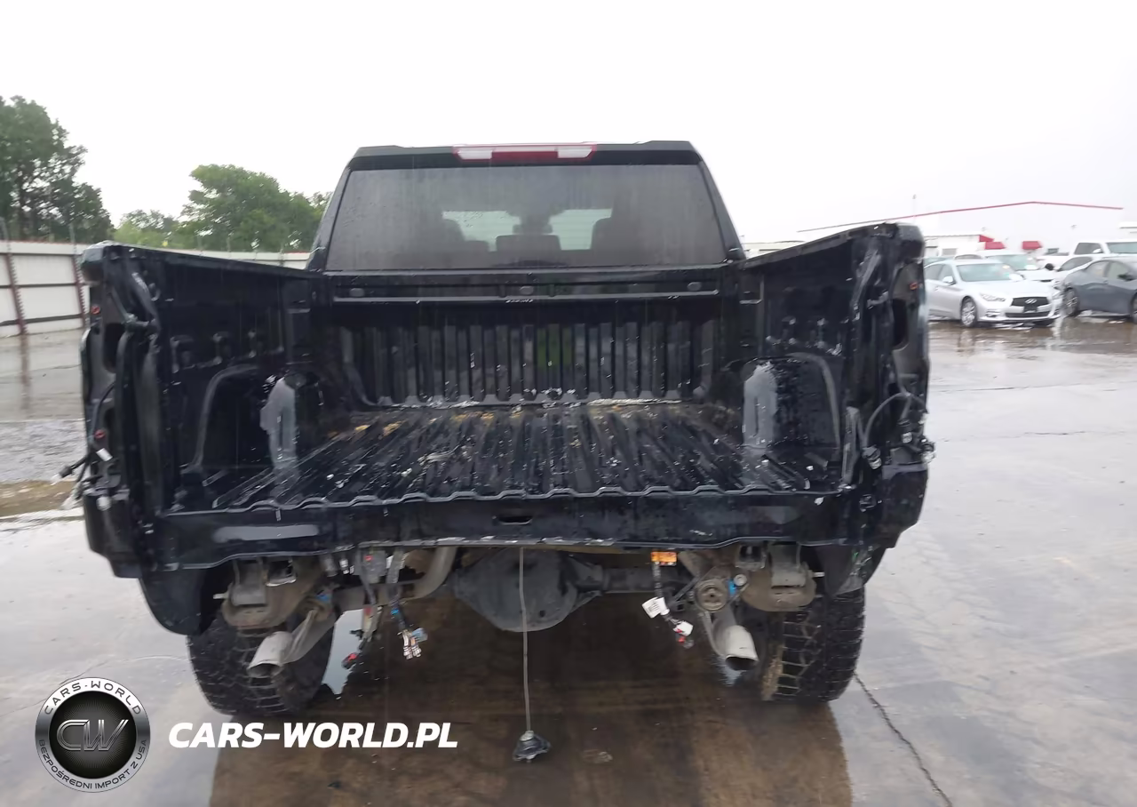 2025 Chevrolet Silverado 1500 4Wd Short Bed Custom Trail Boss VIN:3GCUKCED9SG120855 - 17
