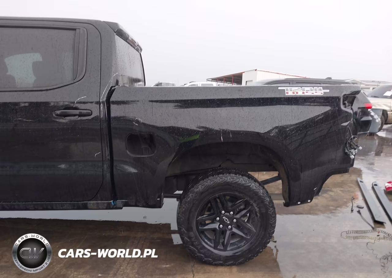 2025 Chevrolet Silverado 1500 4Wd Short Bed Custom Trail Boss VIN:3GCUKCED9SG120855 - 18