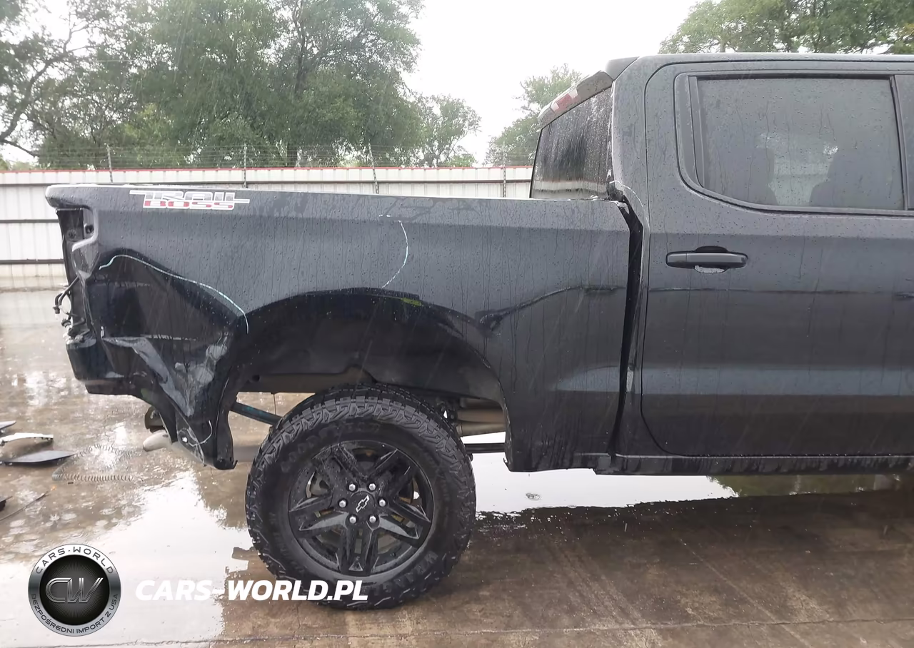 2025 Chevrolet Silverado 1500 4Wd Short Bed Custom Trail Boss VIN:3GCUKCED9SG120855 - 19