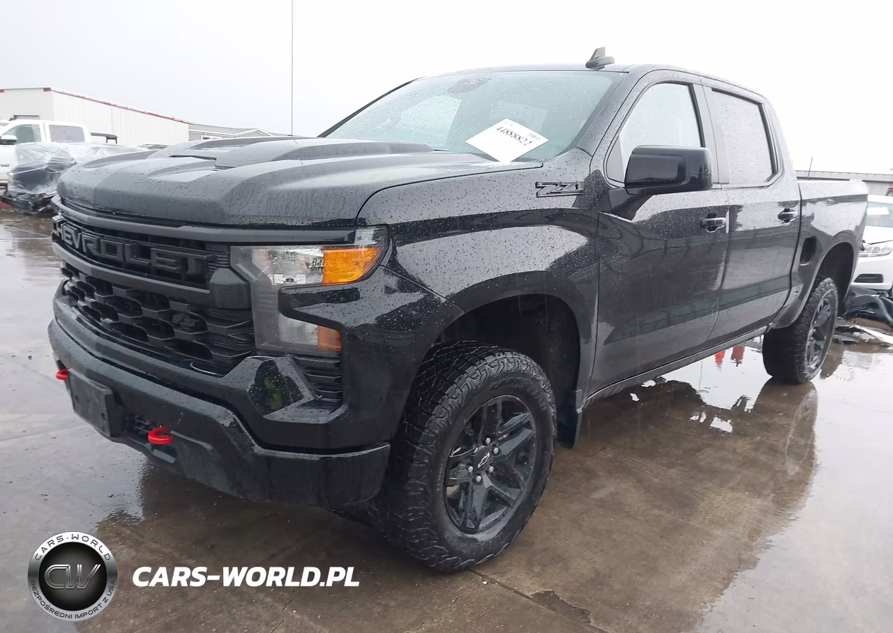 2025 Chevrolet Silverado 1500 4Wd Short Bed Custom Trail Boss VIN:3GCUKCED9SG120855 - 2