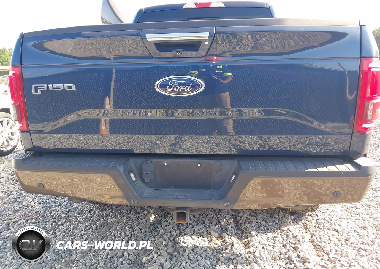 2015 Ford F-150 Lariat VIN:1FTEW1EG2FFB20873 - 17