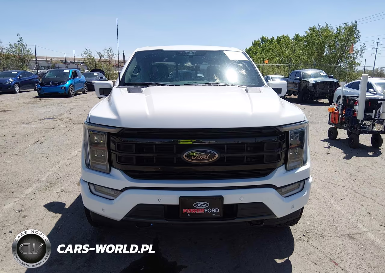 2023 Ford F-150 Platinum VIN:1FTFW1E85PFA27375 - 12
