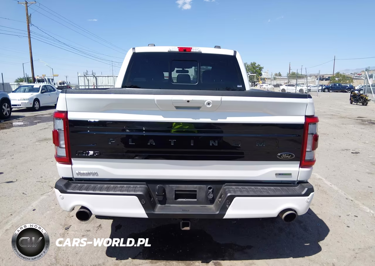2023 Ford F-150 Platinum VIN:1FTFW1E85PFA27375 - 16