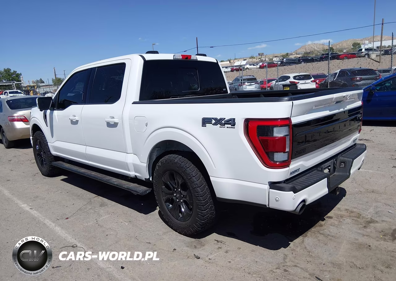 2023 Ford F-150 Platinum VIN:1FTFW1E85PFA27375 - 3