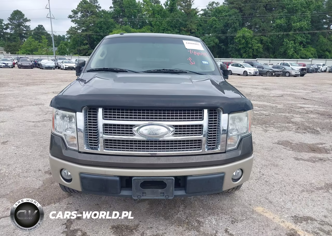 2009 Ford F-150 King Ranch-Lariat-Platinum-Xl-Xlt VIN:1FTPW12V59KC61590 - 12
