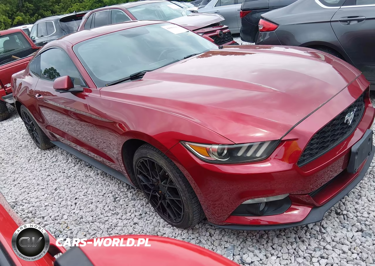 2015 Ford Mustang Ecoboost – zdjęcie 1 z 16